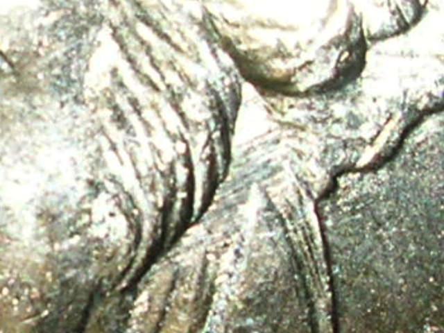 Does-This-Qualifiy-As-A-Die-Veriety?-2007-P-Gw-Pres-$